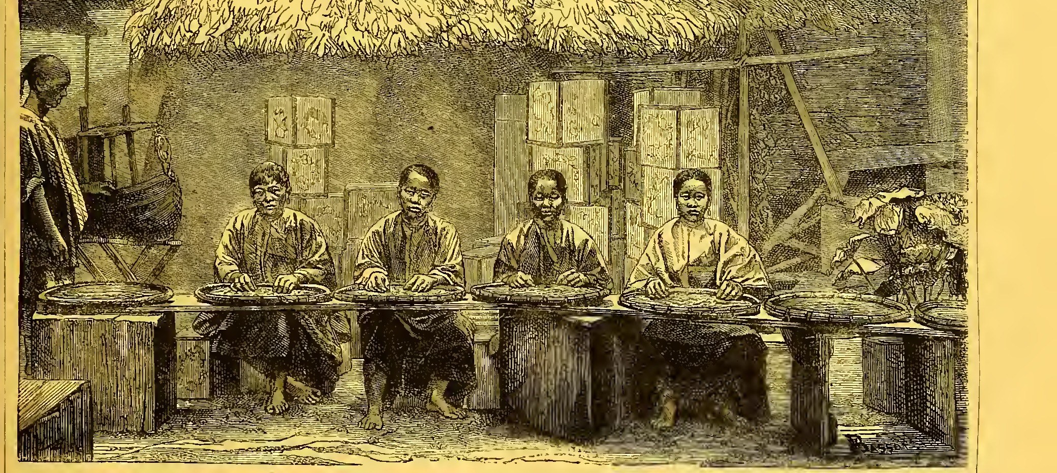 图六：南国茶园采茶之妇女