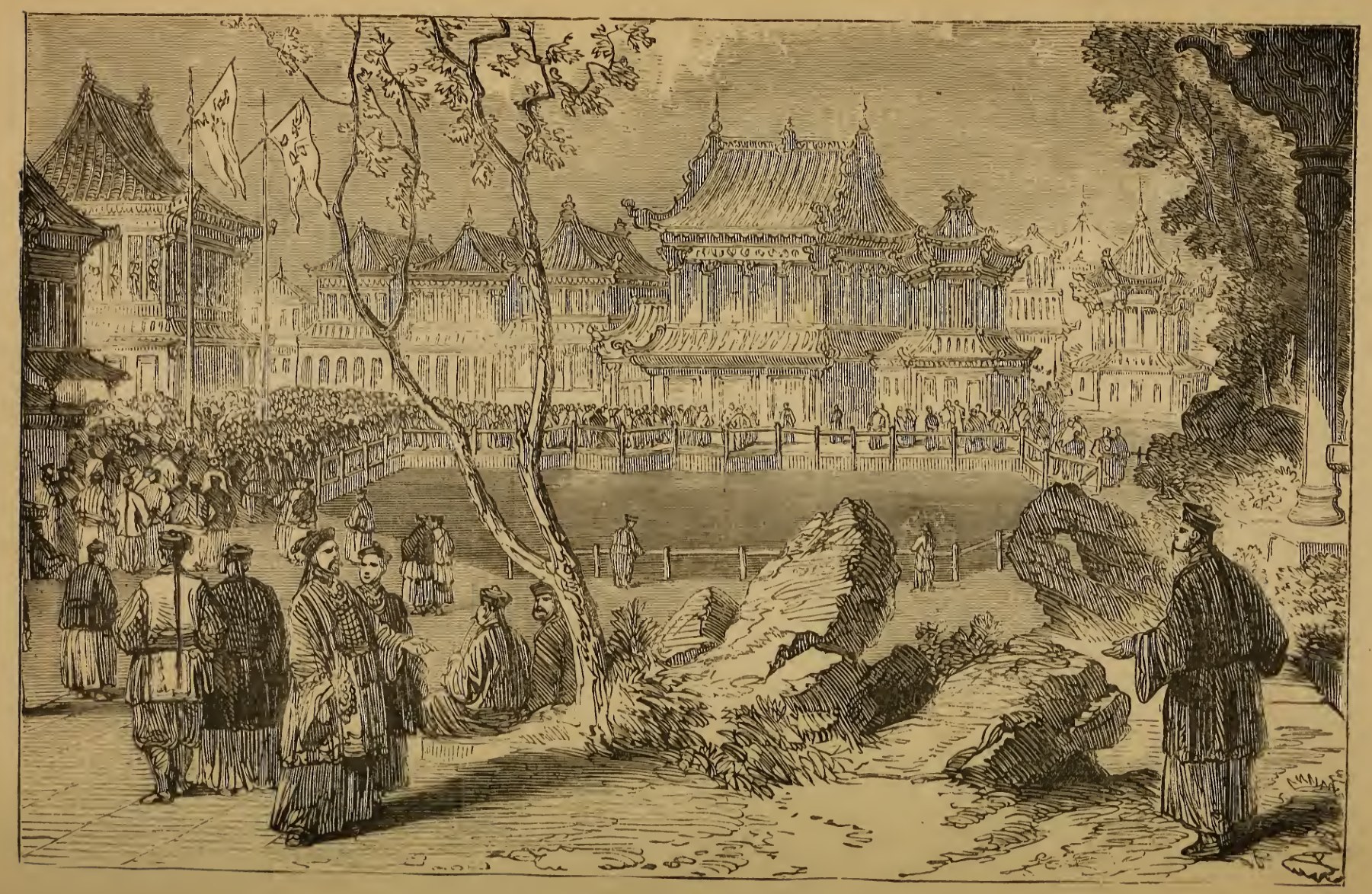 图一：上海茶园